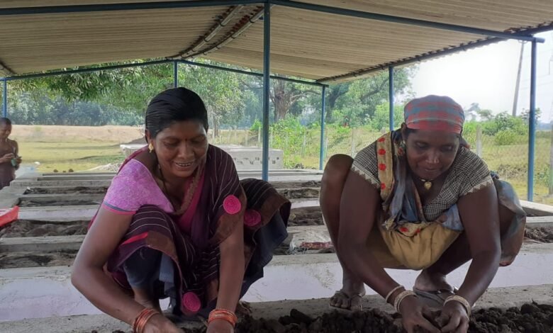गौठान से आजीविका संवर्धन की ओर बढ़ रही महिलाएं,,गोबर से खाद तैयार कर कमा रही है मुनाफा,,, Console Corptech