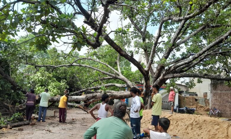 प्राचीन बरगद पेड़ में आकाशीय बिजली गिरने से एक मकान क्षति ग्रस्त चांपा घोघरा नाला वार्ड नंबर 13 का हे घटना Console Corptech