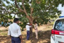 यातायात जांजगीर चांपा पुलिस की सराहनीय पहल, वाहन दुर्घटनाओं को दृष्टिगत रखते हुए, रोड किनारे लगे पेड़ो में लगाए जा रहे है रेडियम के रिफ्लेक्टर ,, Console Corptech