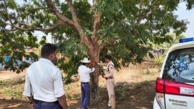 यातायात जांजगीर चांपा पुलिस की सराहनीय पहल, वाहन दुर्घटनाओं को दृष्टिगत रखते हुए, रोड किनारे लगे पेड़ो में लगाए जा रहे है रेडियम के रिफ्लेक्टर ,, Console Corptech