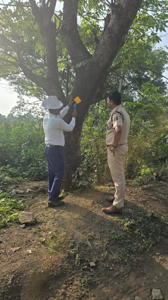 यातायात जांजगीर चांपा पुलिस की सराहनीय पहल, वाहन दुर्घटनाओं को दृष्टिगत रखते हुए, रोड किनारे लगे पेड़ो में लगाए जा रहे है रेडियम के रिफ्लेक्टर ,, Console Corptech